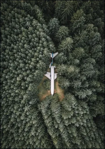 Airplane Home