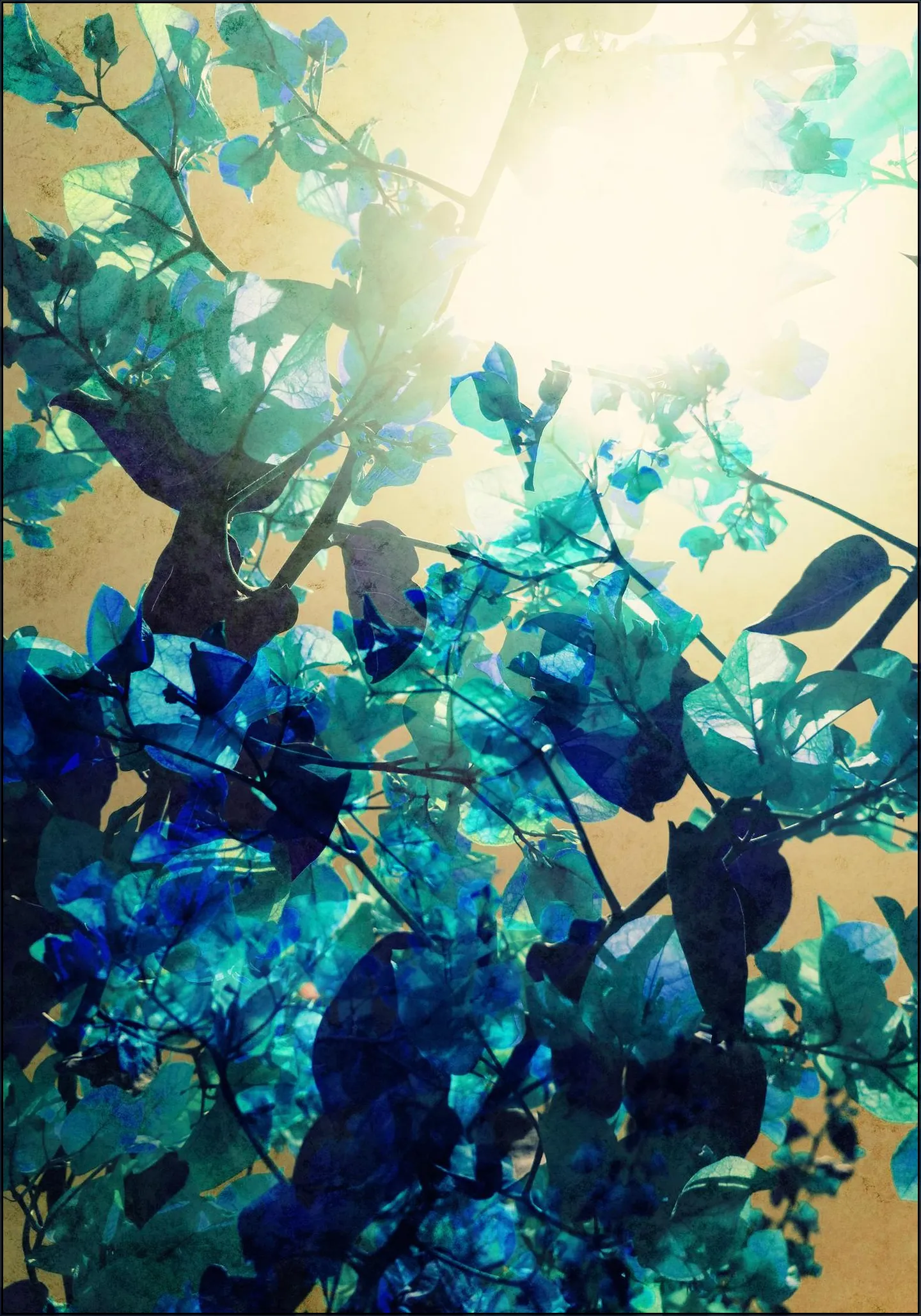 Sunny Blue