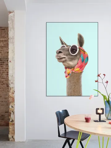 Fashion Lama