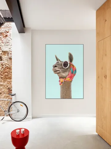 Fashion Lama