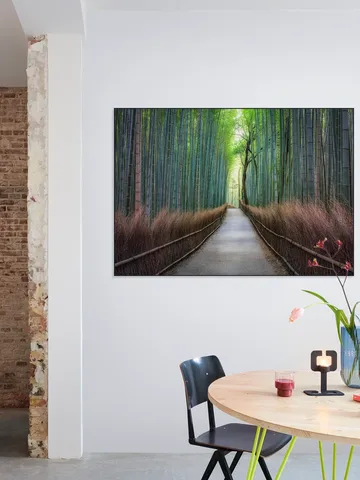 Arashiyama bamboo grove, Kyoto, Japan