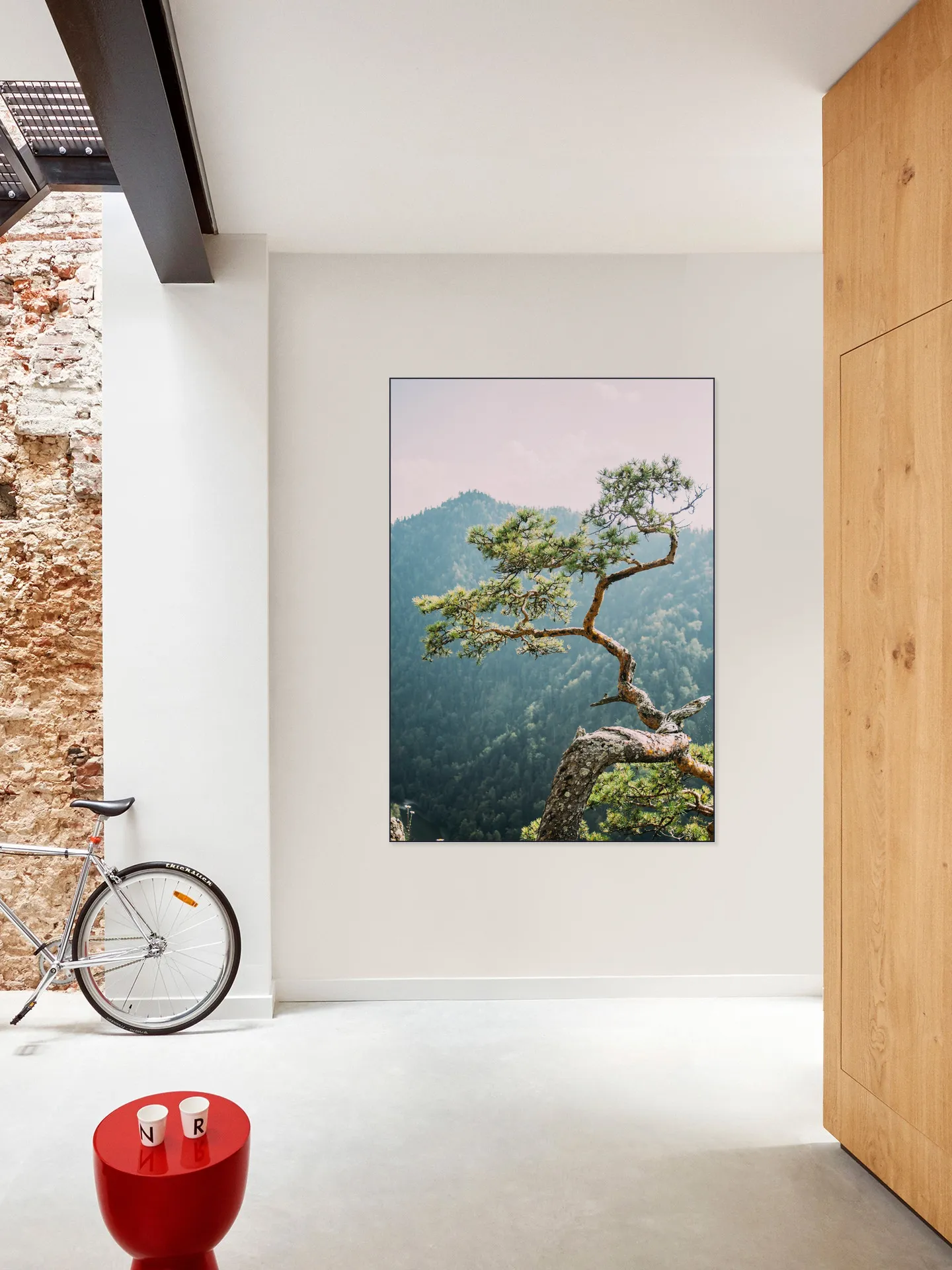 Sokolica Pine Tree