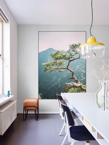 Sokolica Pine Tree