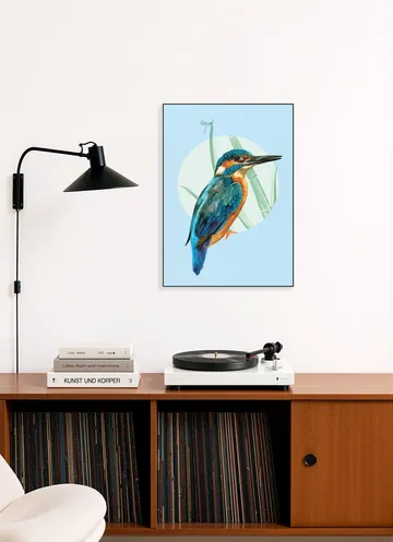 Kingfisher