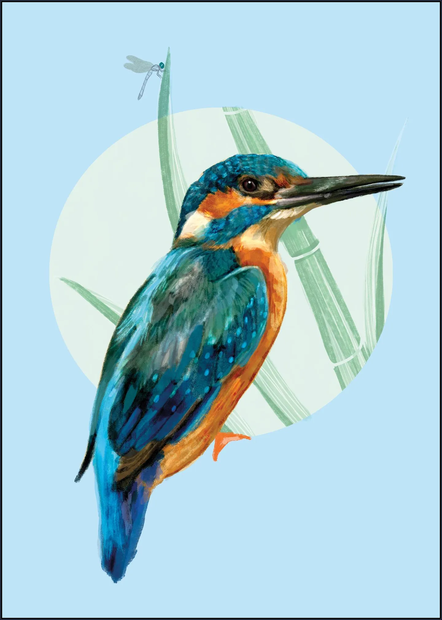 Kingfisher