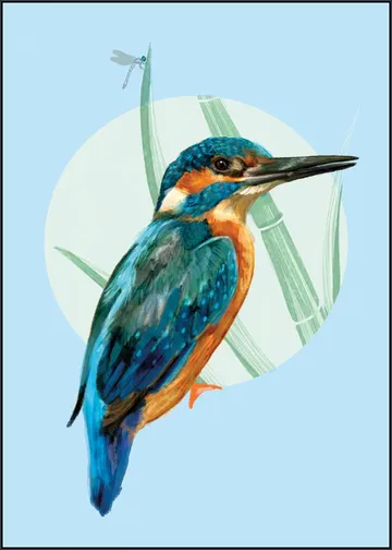 Kingfisher