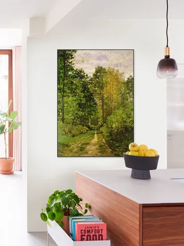 Wooded Path