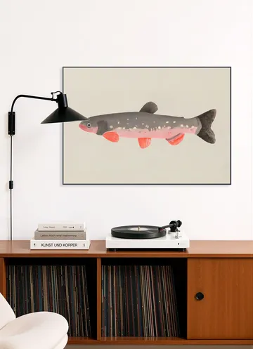 Still Fishy