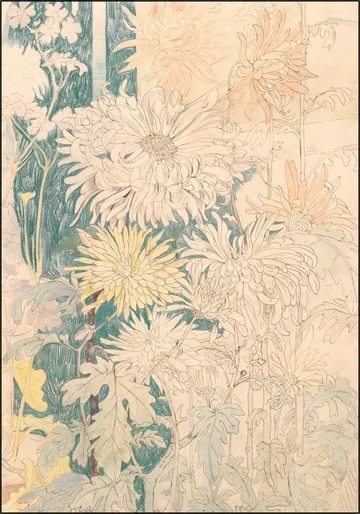 Chrysanten