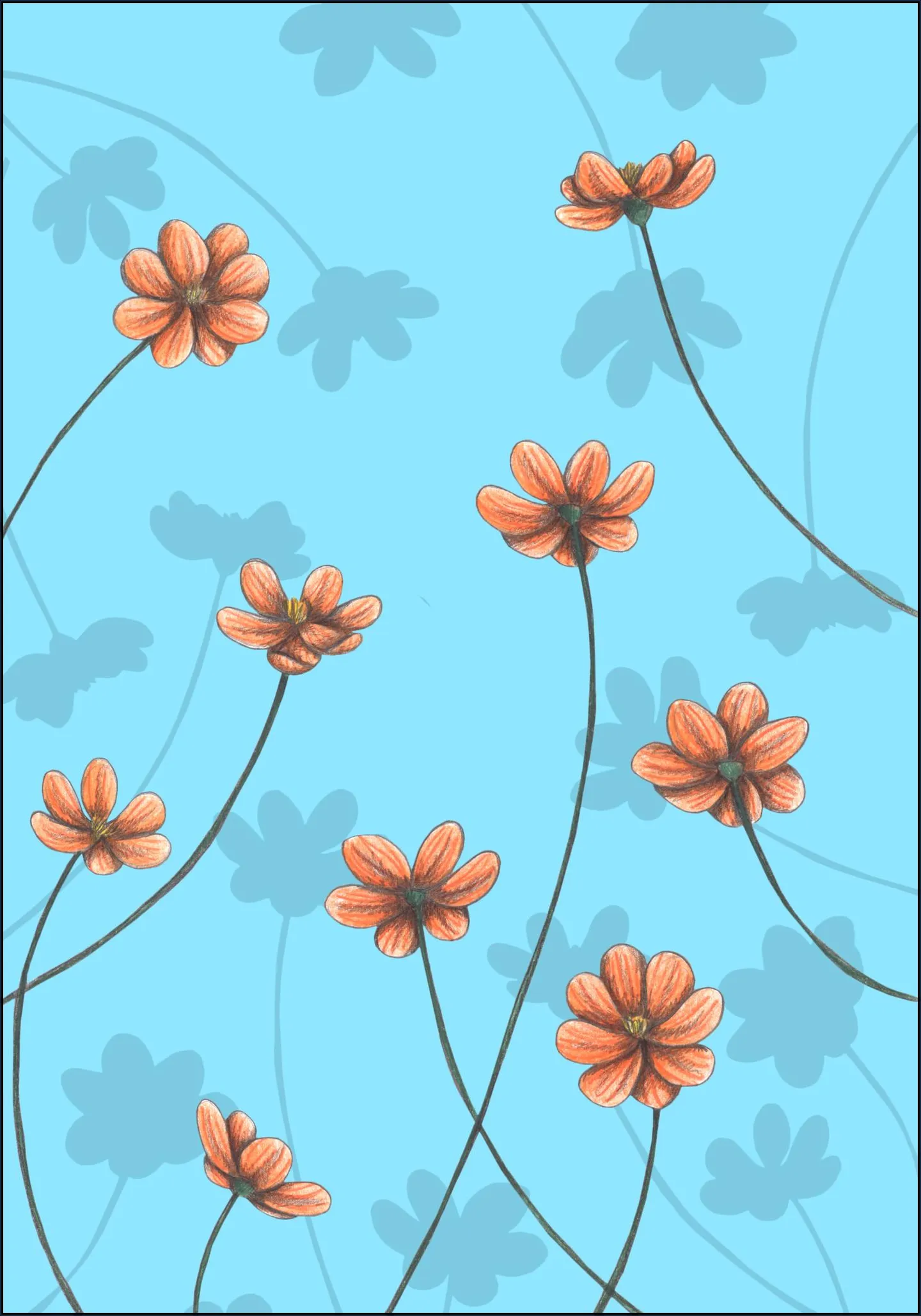 Calendulas