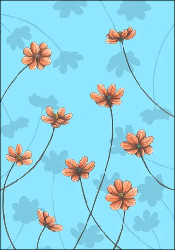 Calendulas