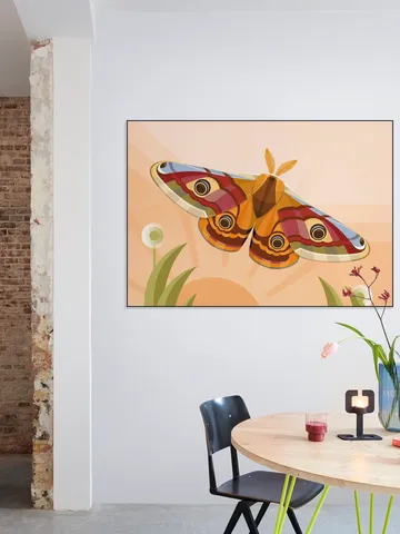 Emperor Moth