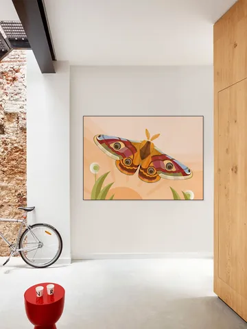 Emperor Moth