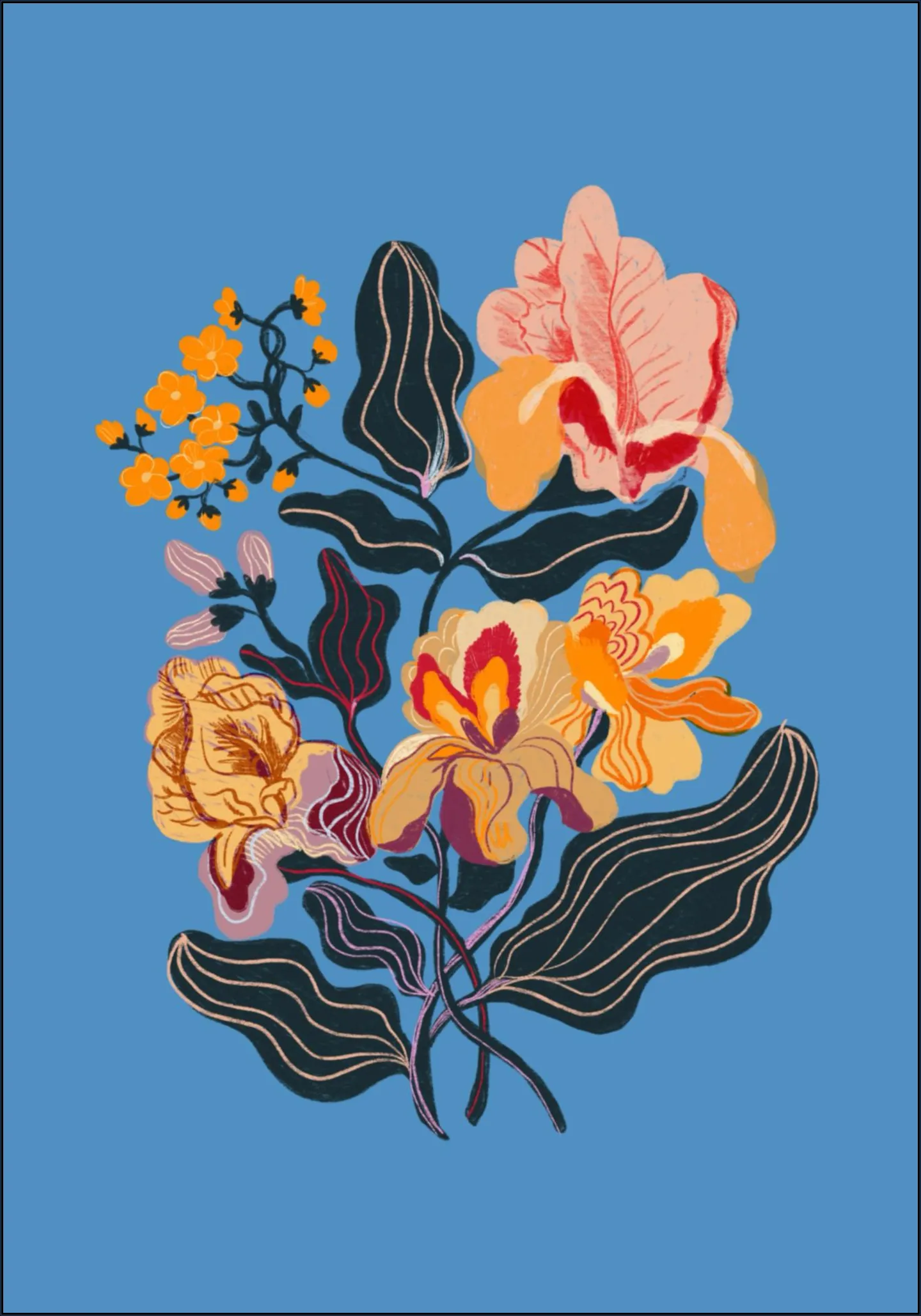 Iris
