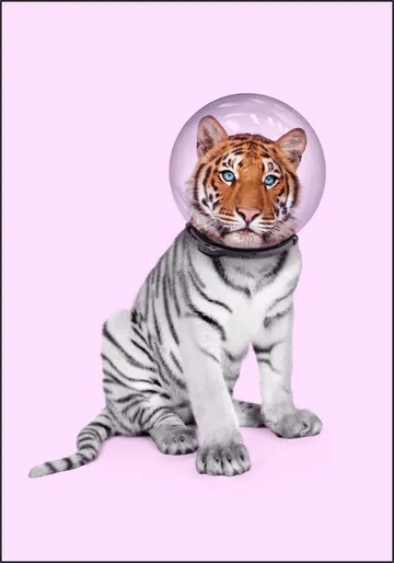 Space Tiger