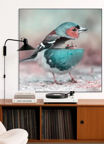 Aqua Birdy