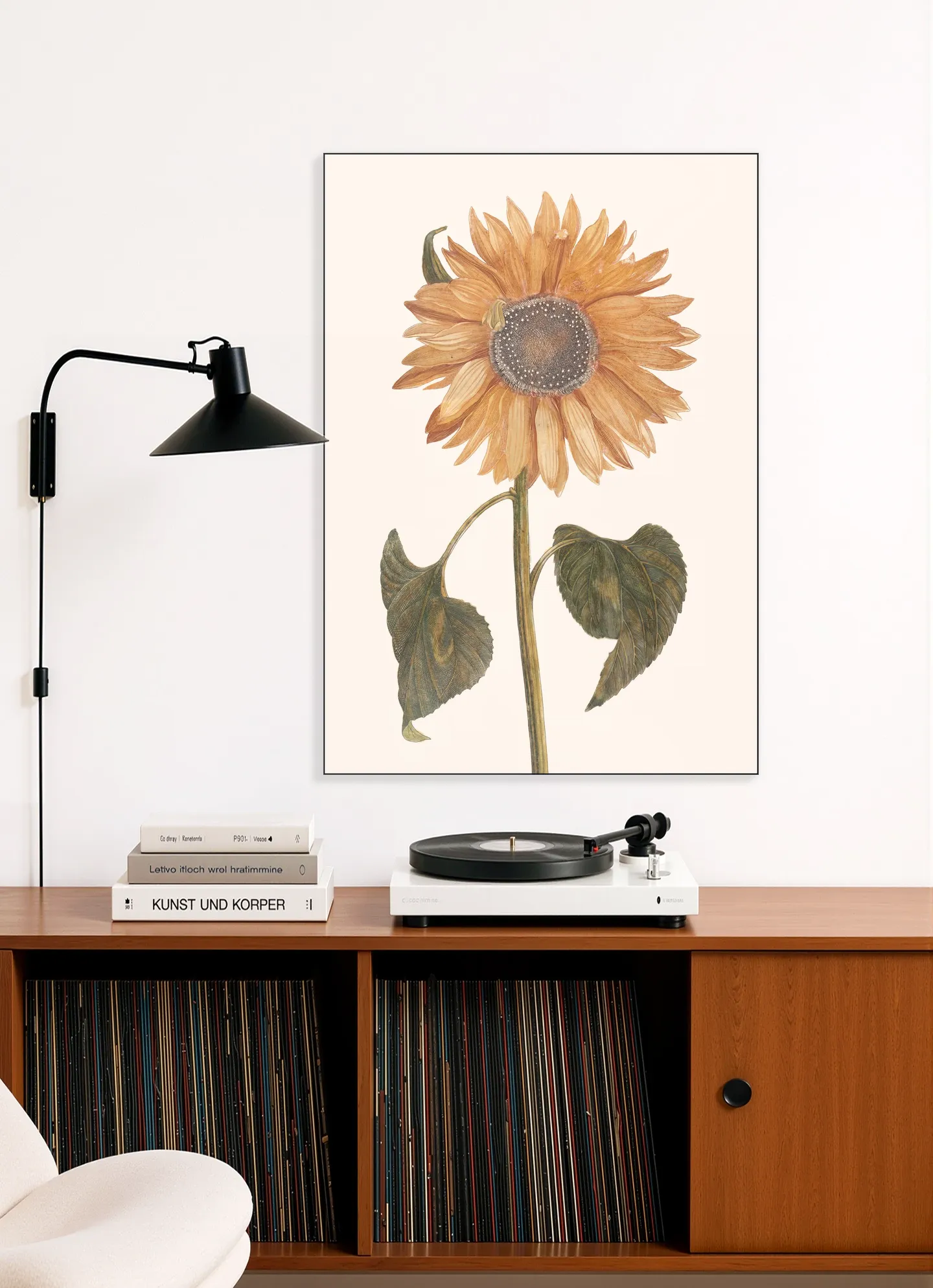 Tournesol - Zonnebloem