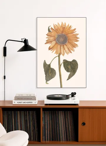 Tournesol - Zonnebloem