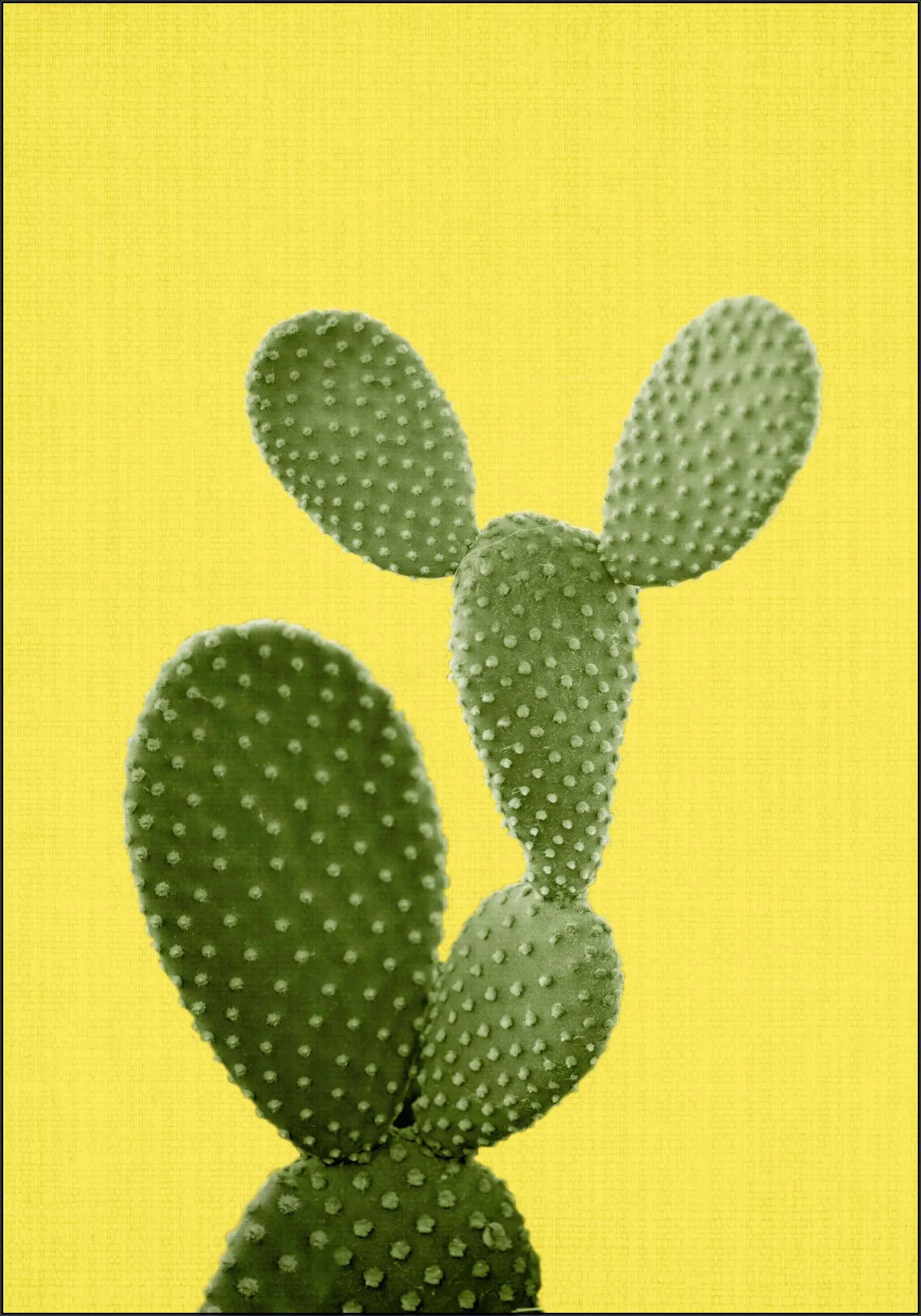 Cactus Yellow Print 87