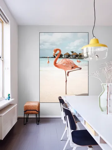 Flamingo Beach