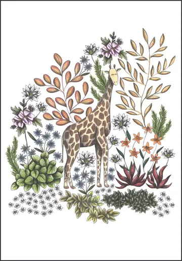 Safari Giraffe
