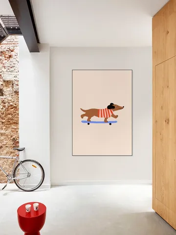 Dachshund on Skateboard