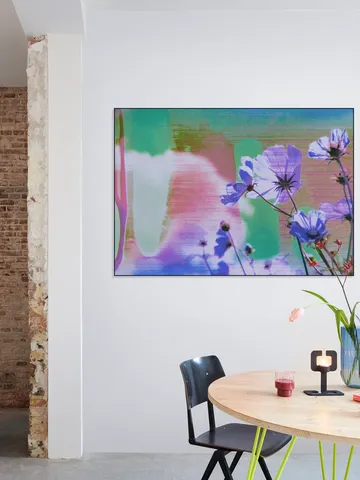 Jubilance