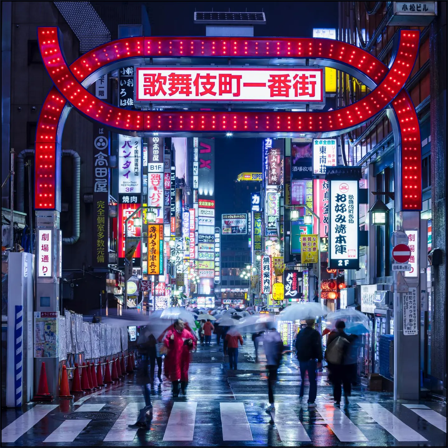 Kabukicho Nightlife District - Tokyo