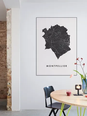 Montpellier City Map