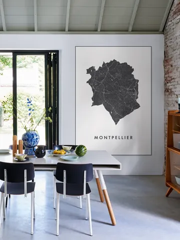 Montpellier City Map
