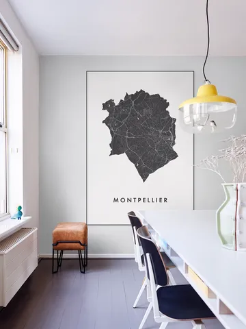 Montpellier City Map