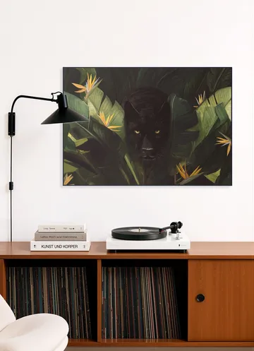 Hello Panther