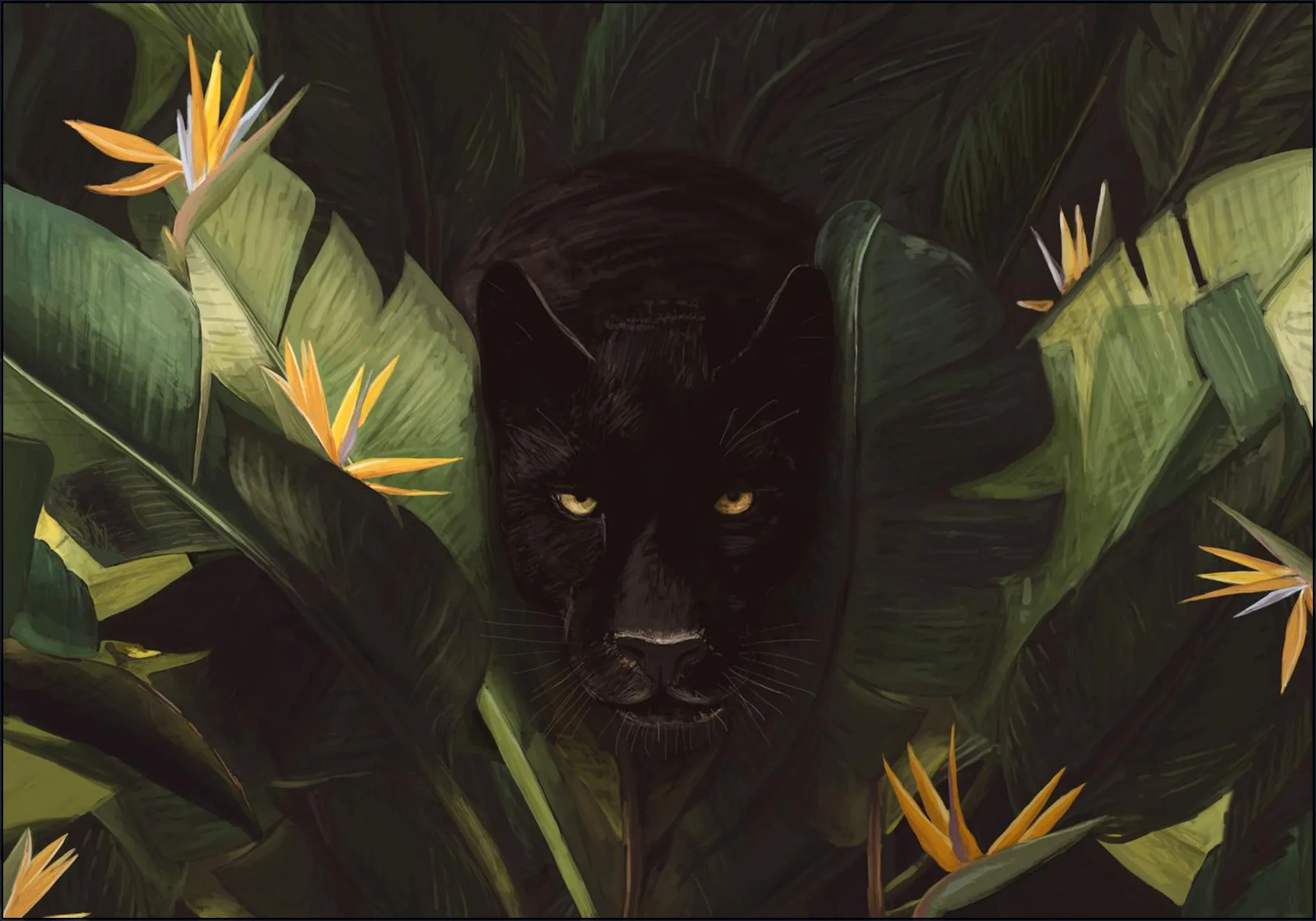 Hello Panther