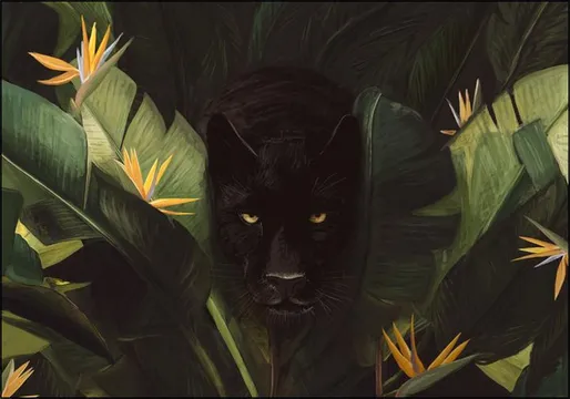 Hello Panther