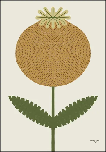 Poppy