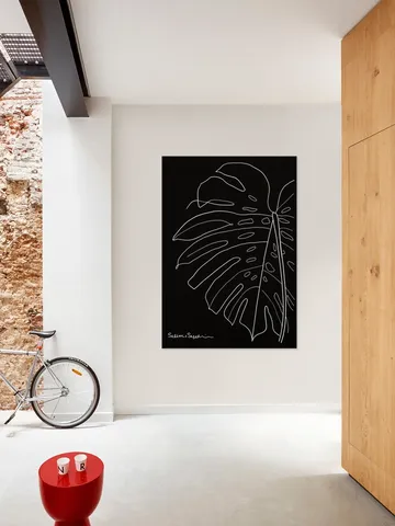 Monstera black