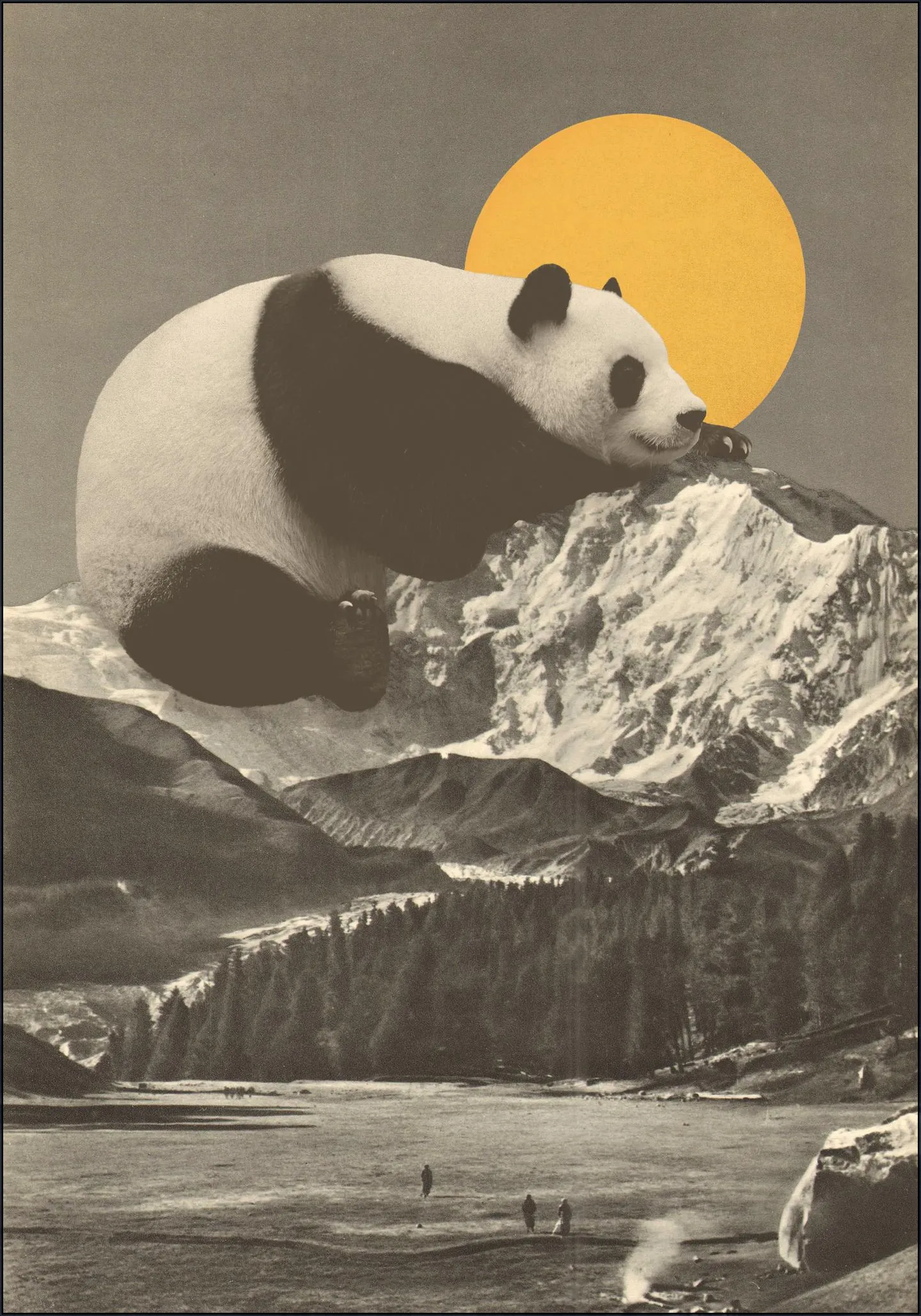 Giant Panda Nap