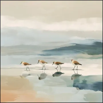 Minimal Coastal Shorebirds