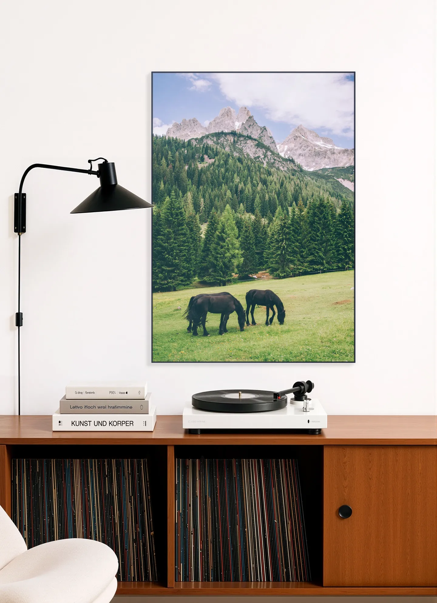 Friesian Horses in Alps