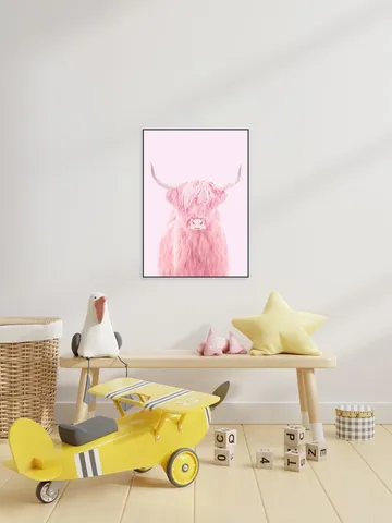Highland Cow