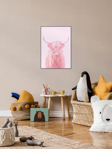 Highland Cow