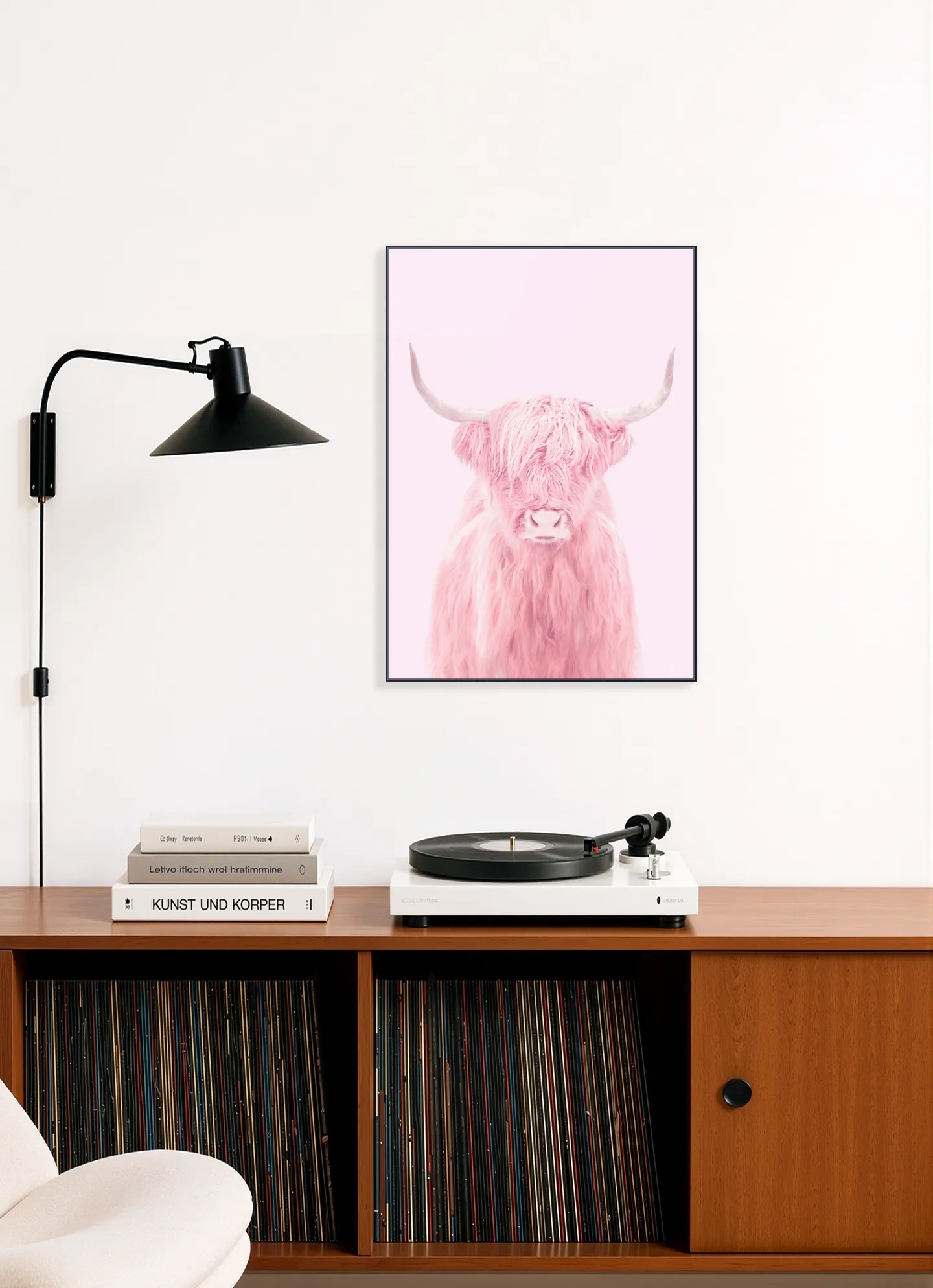 Highland Cow