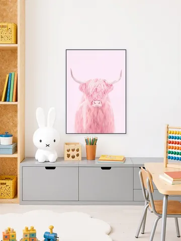Highland Cow