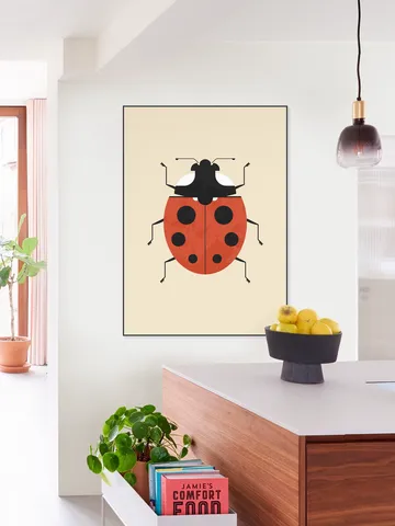 The Ladybug