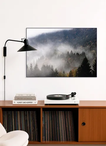 Foggy Woods 9