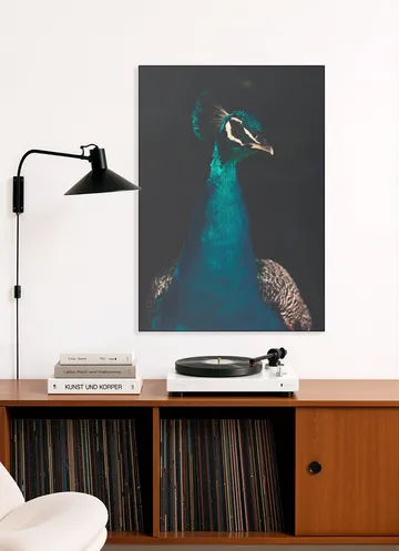 Peacock and Proud