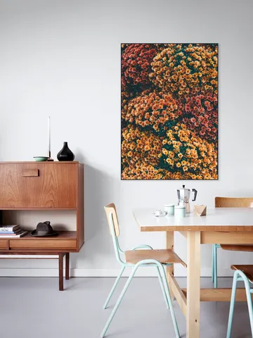 Autumn Flowers