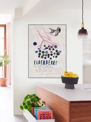 Elderberry