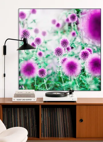 Dream Flowers Pink