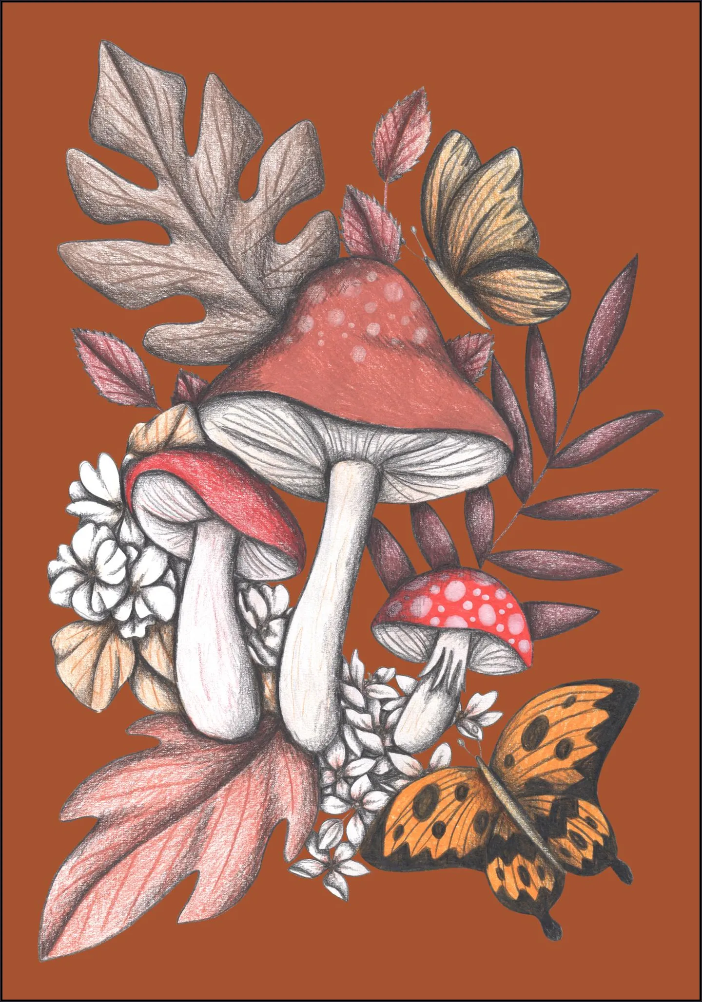 Mushrooms Magic 2